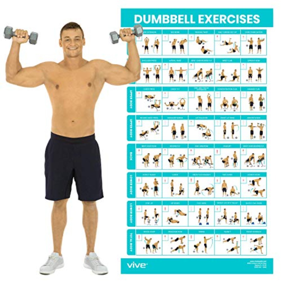 Home Gym Upper Body Workout - Dumbbell Workout Poster - Home Gym
