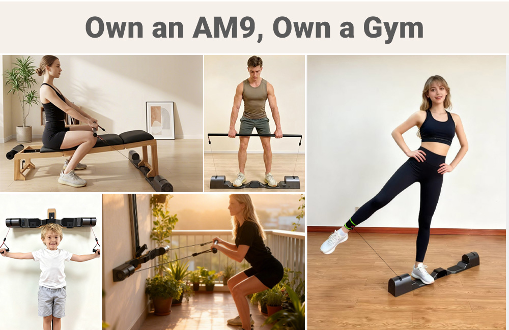 AM9 Professional Home Gym Fitn - Home Gym Leg Extension Machine avaliação e preço