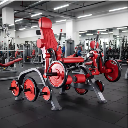 Professional Independent Leg E - Home Gym Leg Extension Machine avaliação e preço
