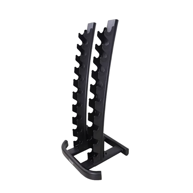 2026 Gym Dumbbell Rack Bench T - Home Gym Organization avaliação e preço