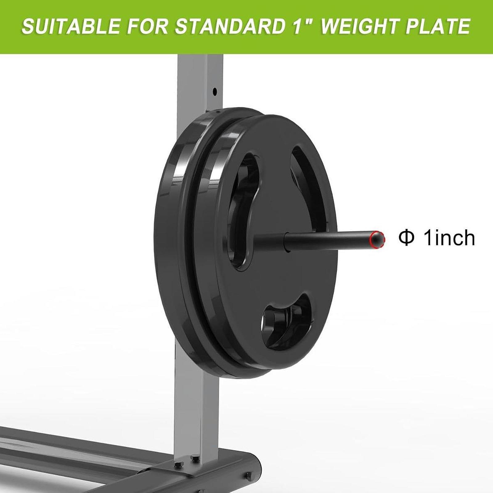 Space Saving Barbell Plate Han - Home Gym Organization avaliação e preço