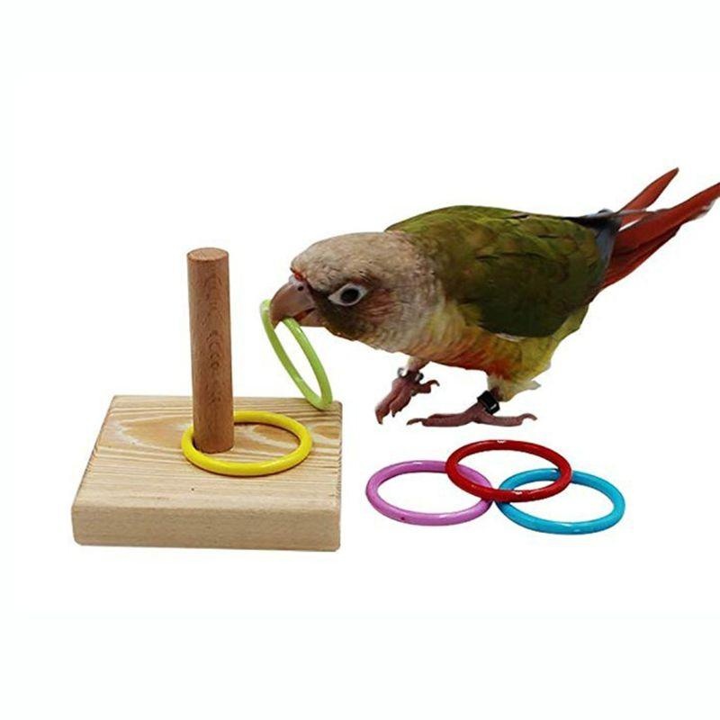 Bird Training Ring Toy Parrot  - Gymnastic Rings Wooden avaliação e preço