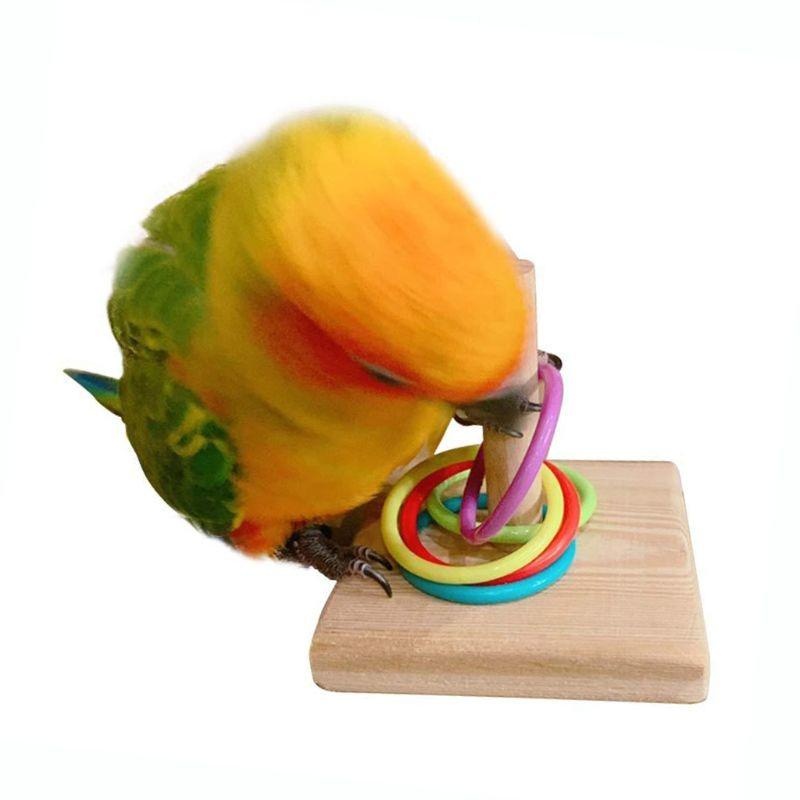 Bird Training Ring Toy Parrot  - Gymnastic Rings Wooden avaliação e preço