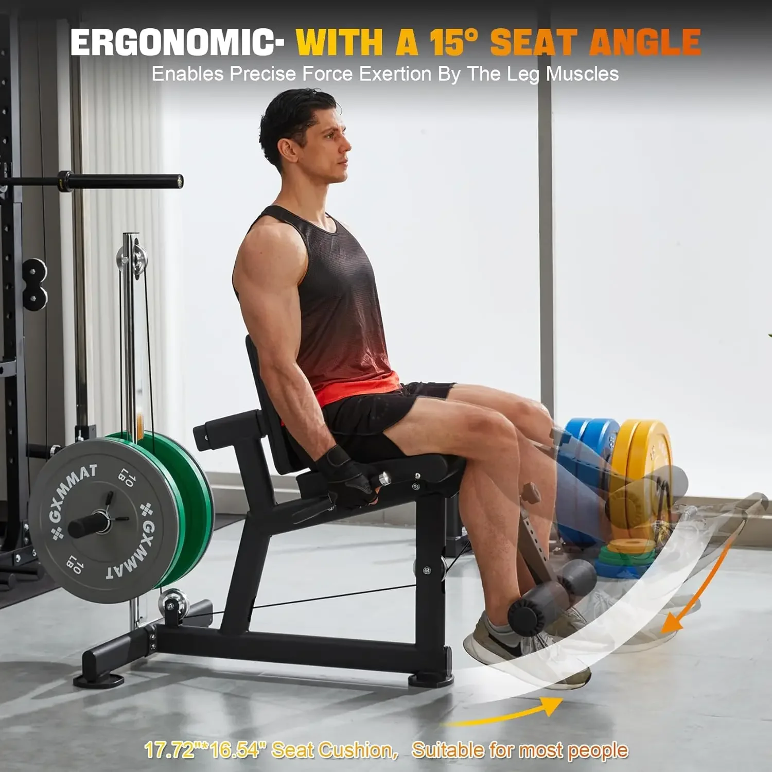 Leg Extension and Curl Machine - Home Gym Leg Extension Machine avaliação e preço