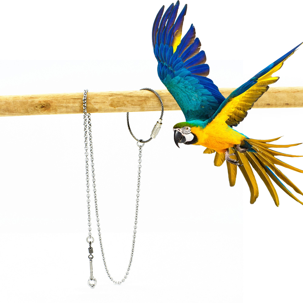 1Pcs Pet Parrot Leg Ring Ankle - Gymnastic Rings Wooden avaliação e preço