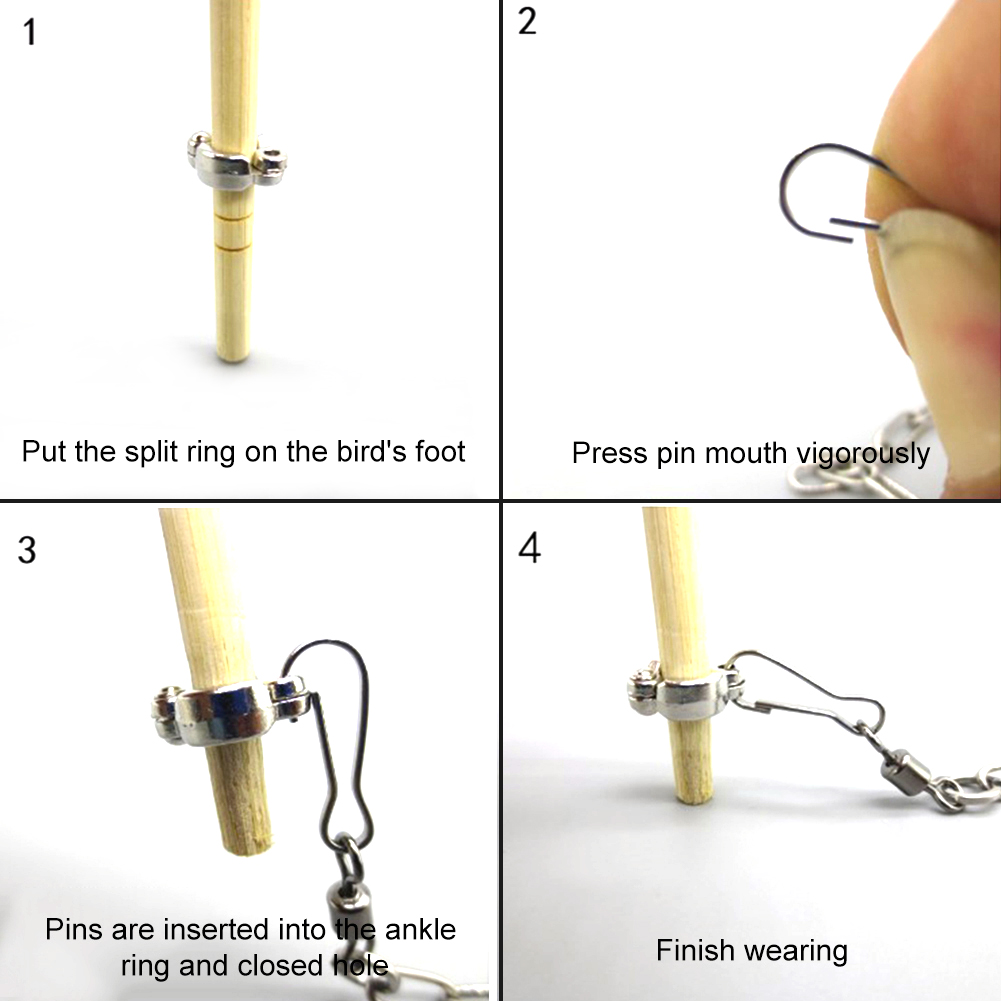 1Pcs Pet Parrot Leg Ring Ankle - Gymnastic Rings Wooden avaliação e preço